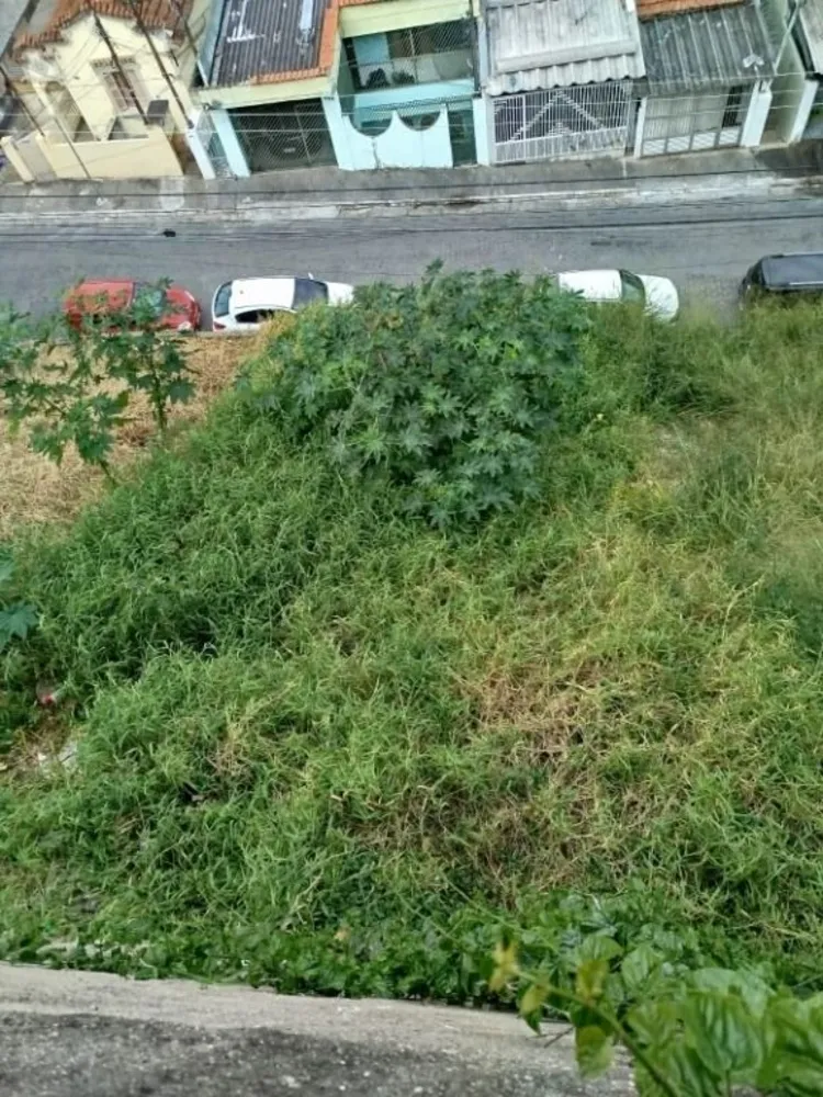 Terreno, 100 m² - Foto 4