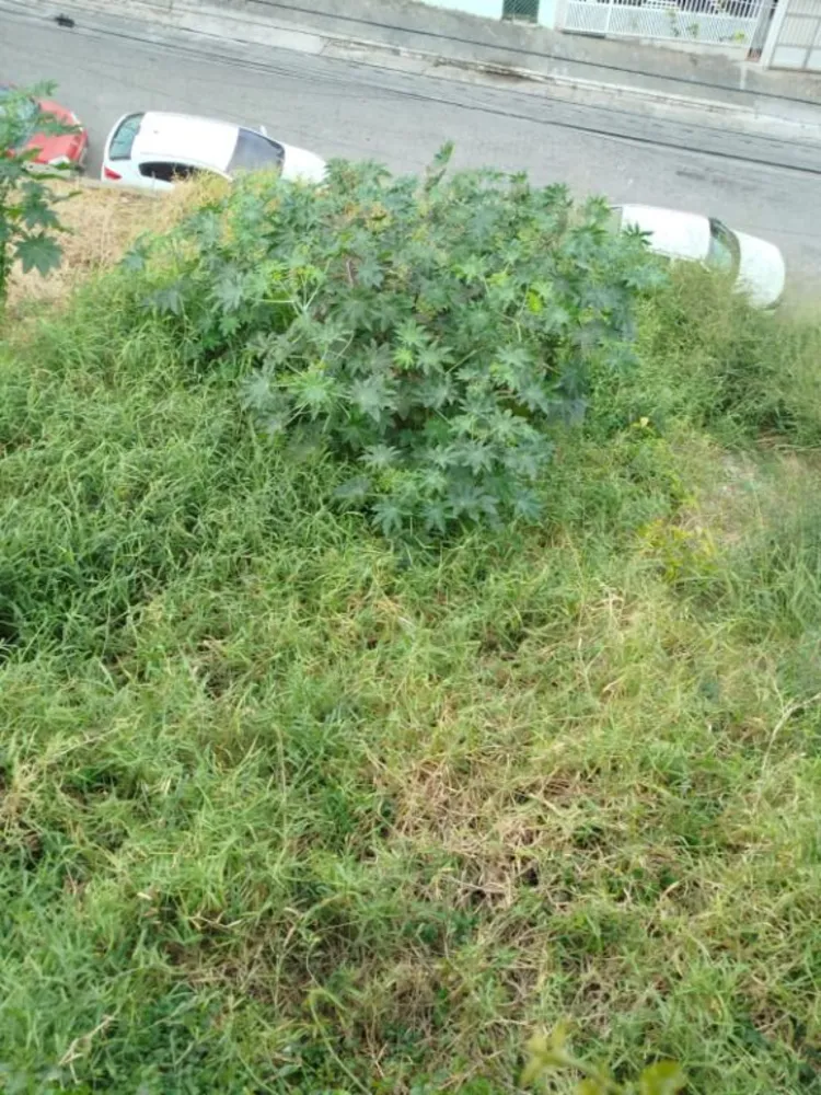 Terreno, 100 m² - Foto 5