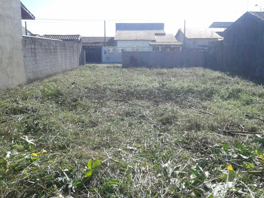 Terreno à venda, 300m² - Foto 2