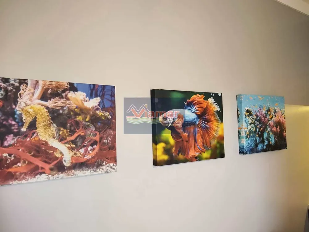 Apartamento, 3 quartos, 100 m² - Foto 16