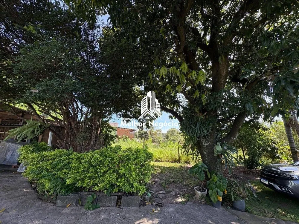 Chácara, 4 quartos, 1000 m² - Foto 3