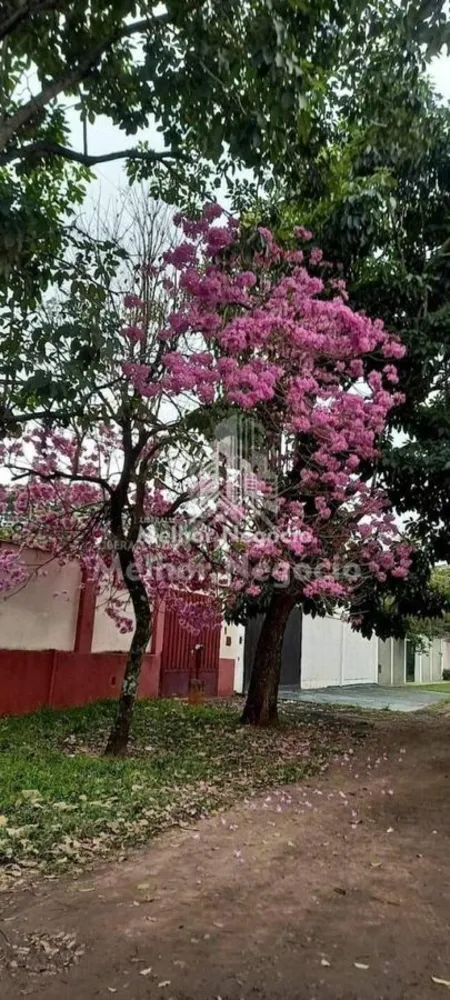 Casa, 3 quartos, 300 m² - Foto 1
