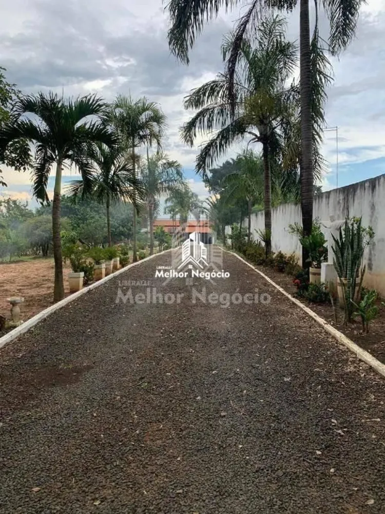 Chácara, 3 quartos, 3000 m² - Foto 4