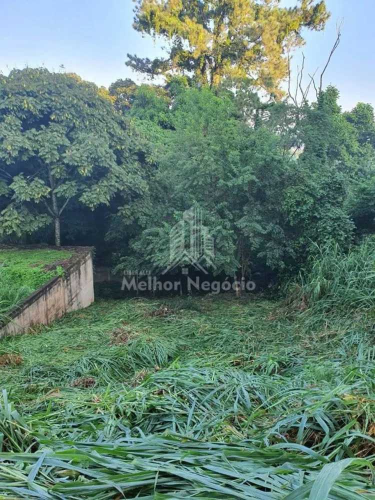 Terreno, 319 m² - Foto 1