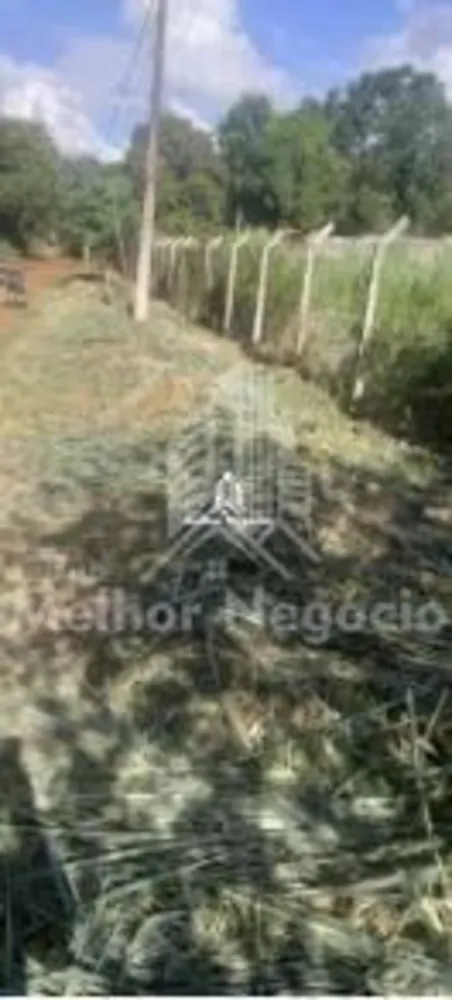 Terreno, 1000 m² - Foto 2