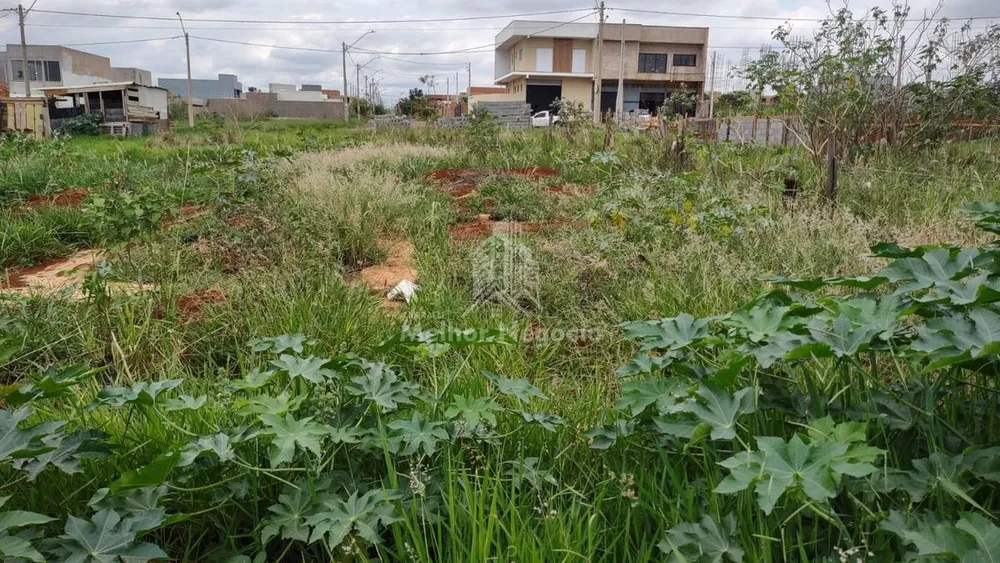 Terreno, 160 m² - Foto 3