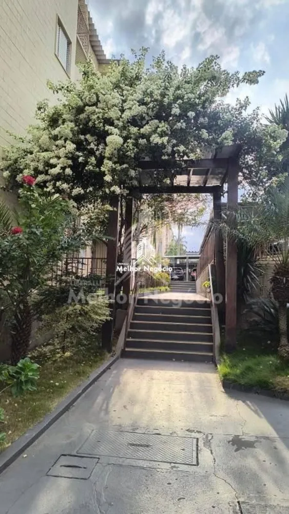 Apartamento, 3 quartos, 74 m² - Foto 4