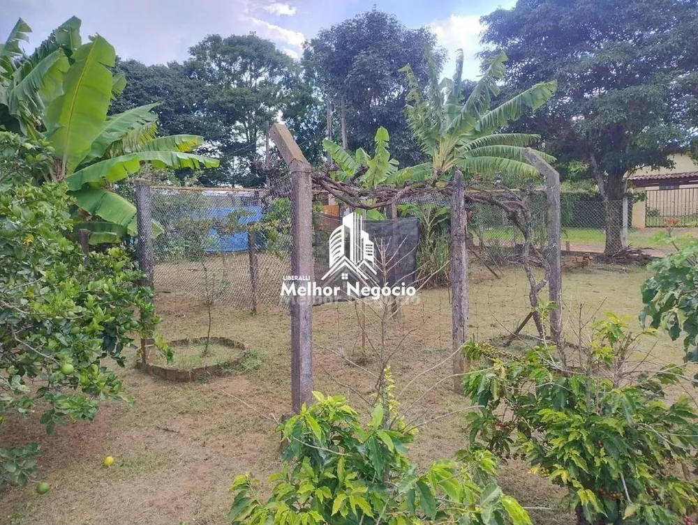 Chácara, 2 quartos, 1000 m² - Foto 3