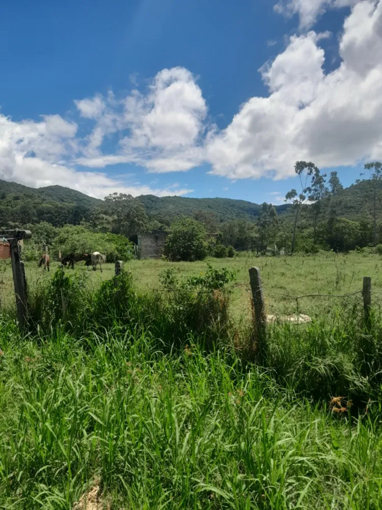 Terreno, 5280 m² - Foto 9