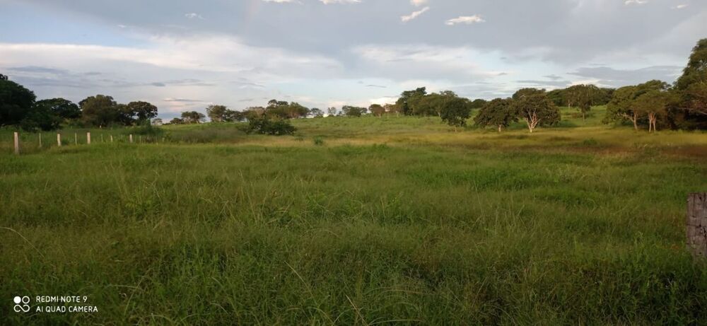 Fazenda à venda - Foto 3