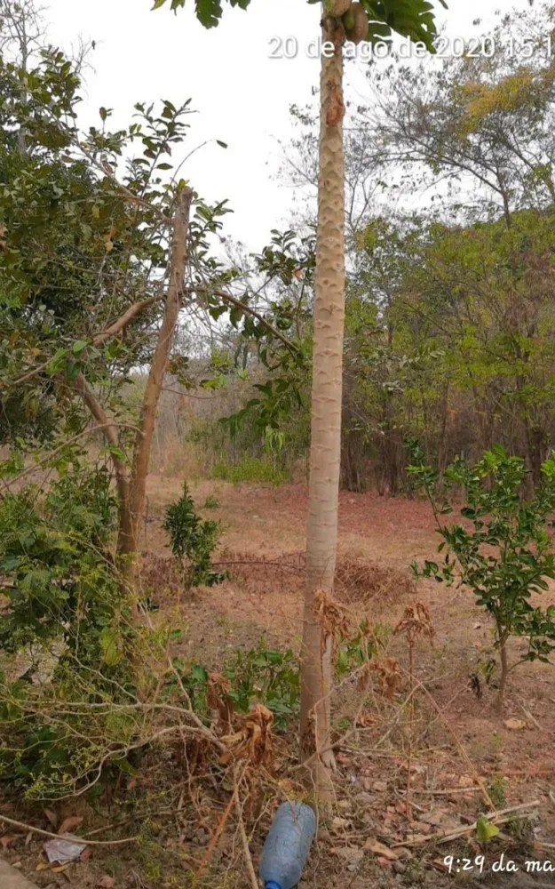 Chácara - Foto 16