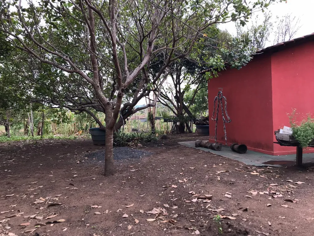 Chácara, 3 quartos - Foto 6
