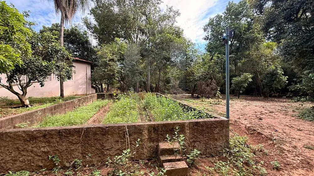 Chácara, 4 quartos, 7000 m² - Foto 4