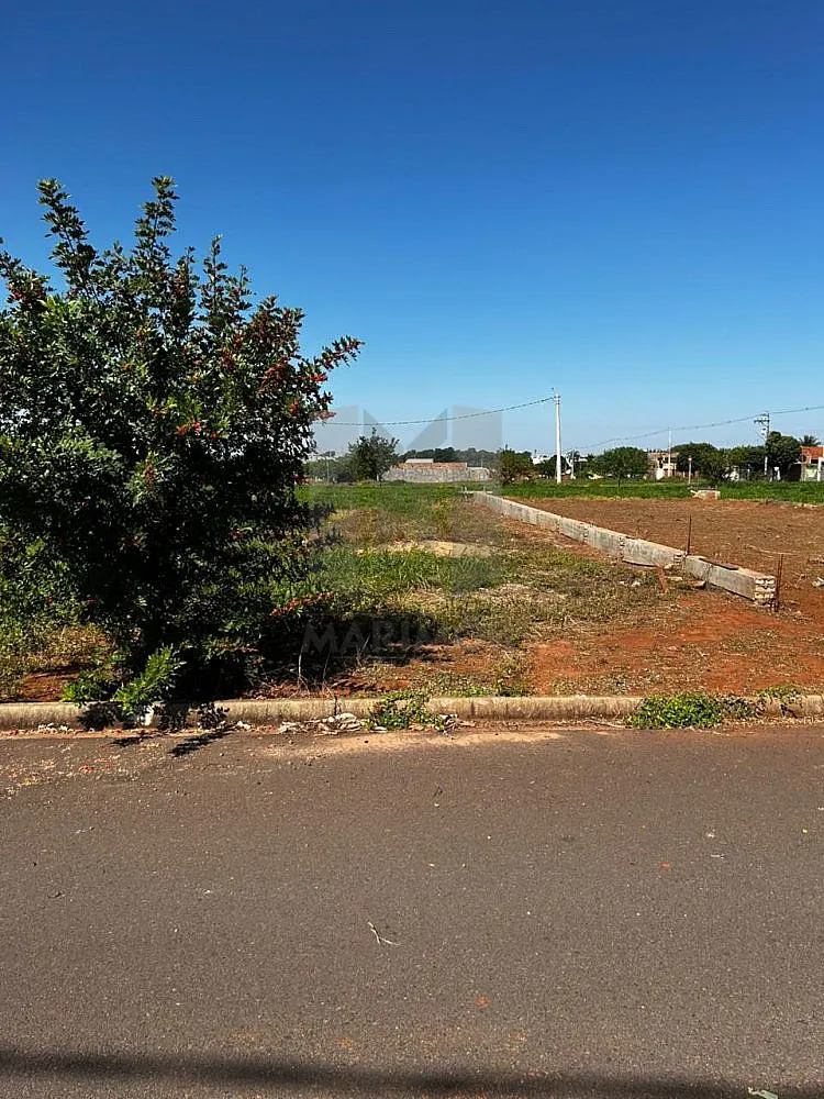 Terreno, 200 m² - Foto 4