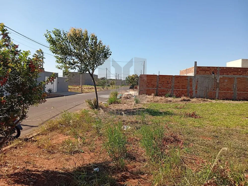 Terreno, 200 m² - Foto 10