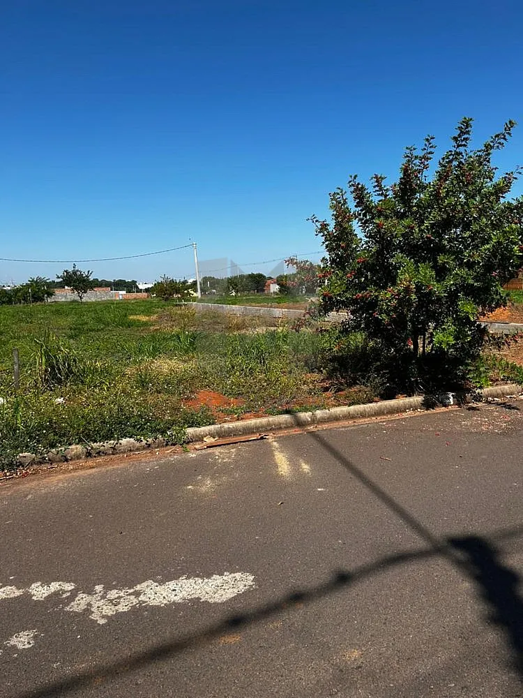 Terreno, 200 m² - Foto 3