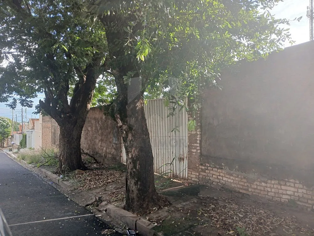 Terreno, 1000 m² - Foto 1