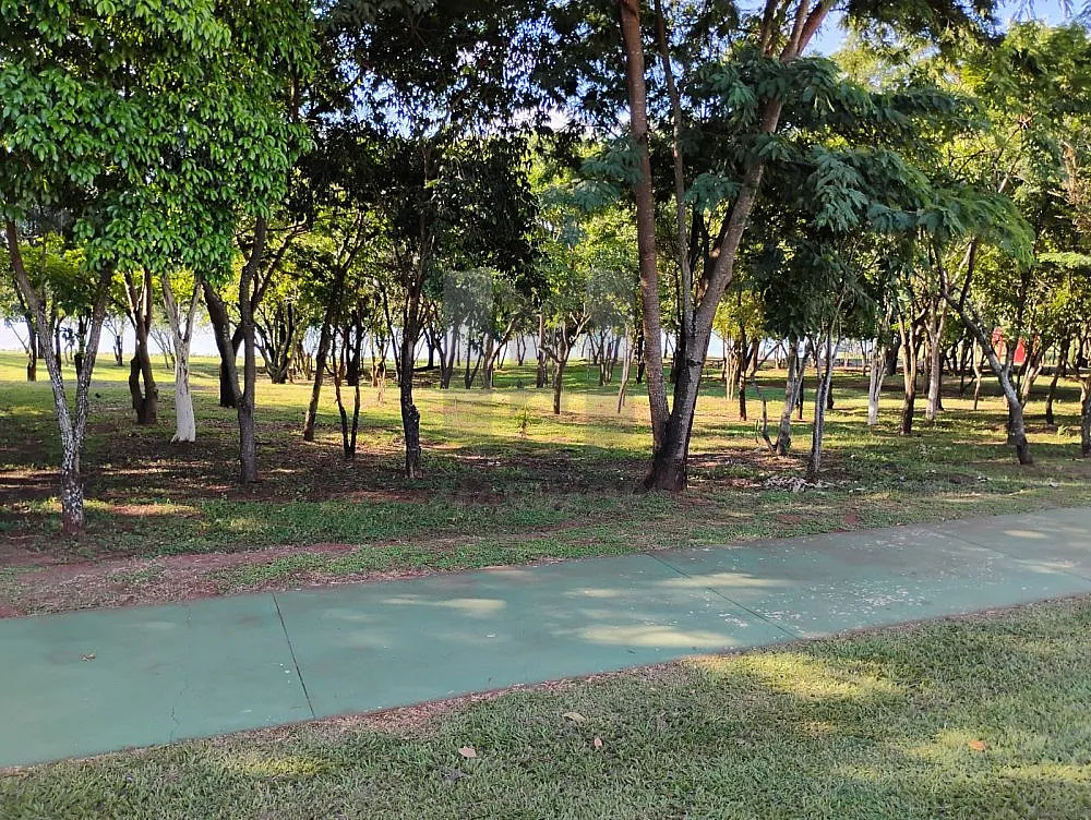 Casa, 5 quartos, 565 m² - Foto 5