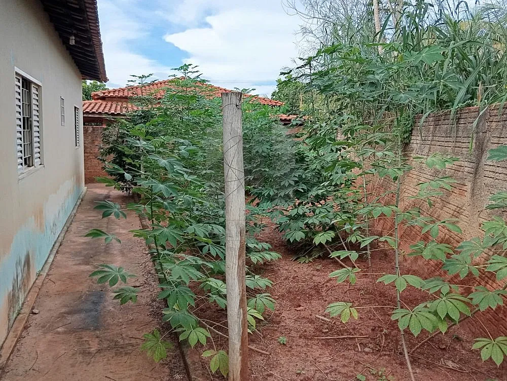 Chácara, 6 quartos, 903 m² - Foto 8