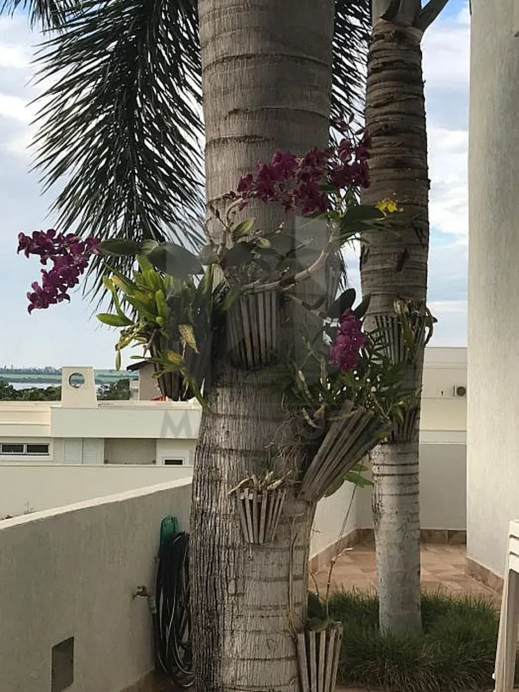 Fazenda, 563 m² - Foto 6