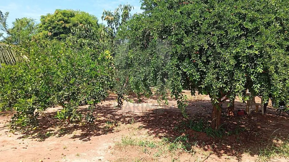 Terreno, 746 m² - Foto 4