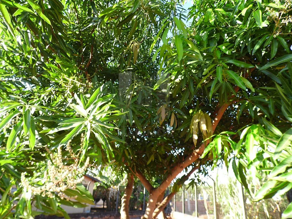 Terreno, 1614 m² - Foto 16