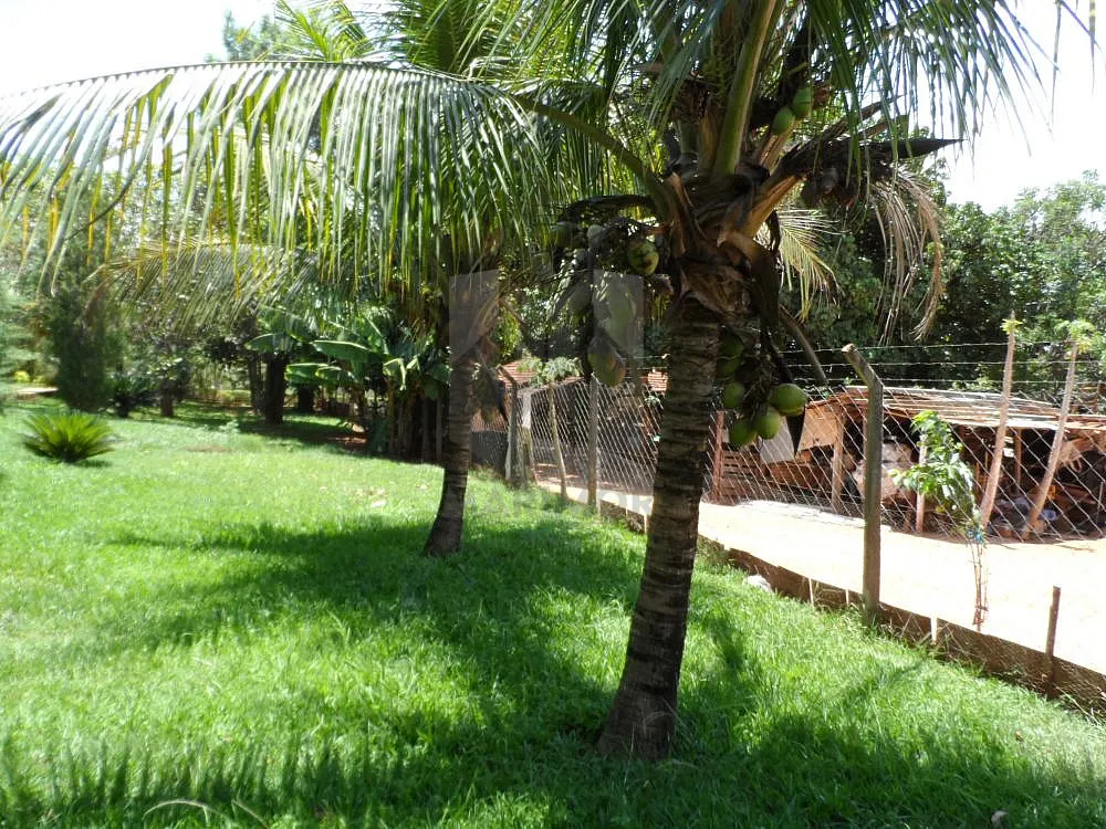 Chácara, 3 quartos, 6000 m² - Foto 3