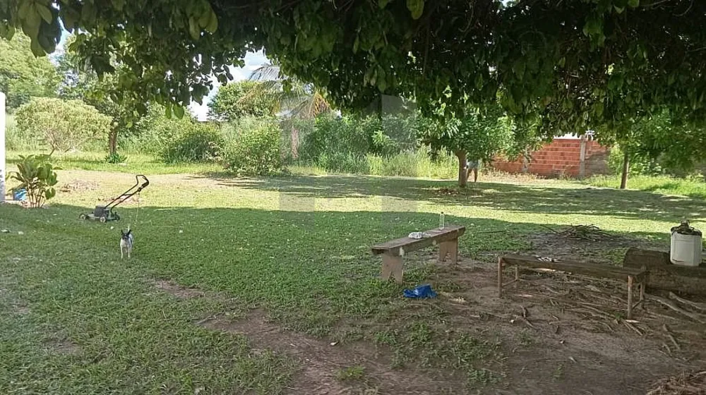 Chácara, 3 quartos, 5000 m² - Foto 3