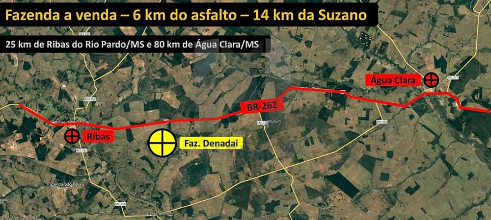 Fazenda, 308 hectares - Foto 9