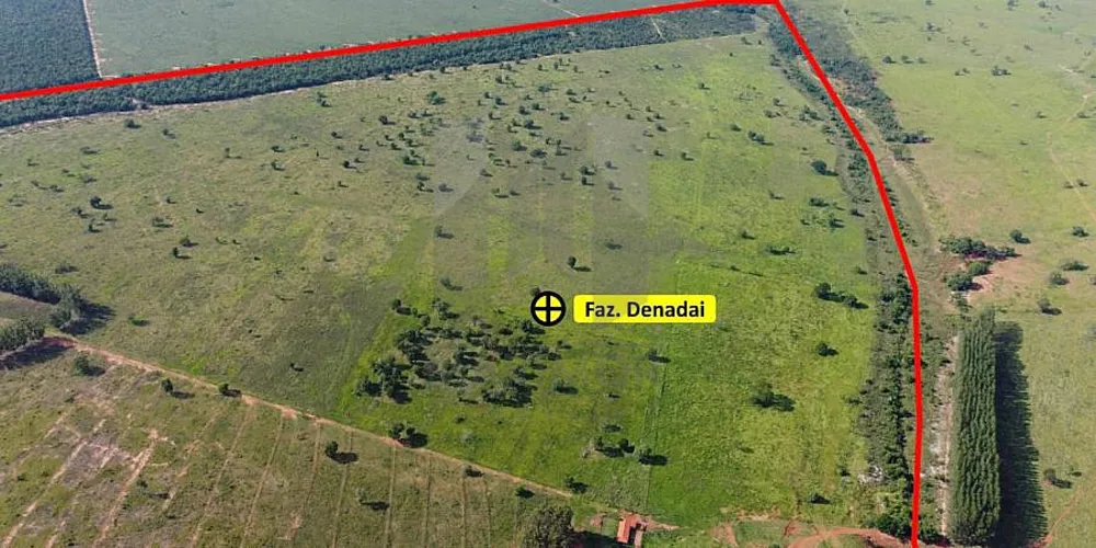 Fazenda, 308 hectares - Foto 12