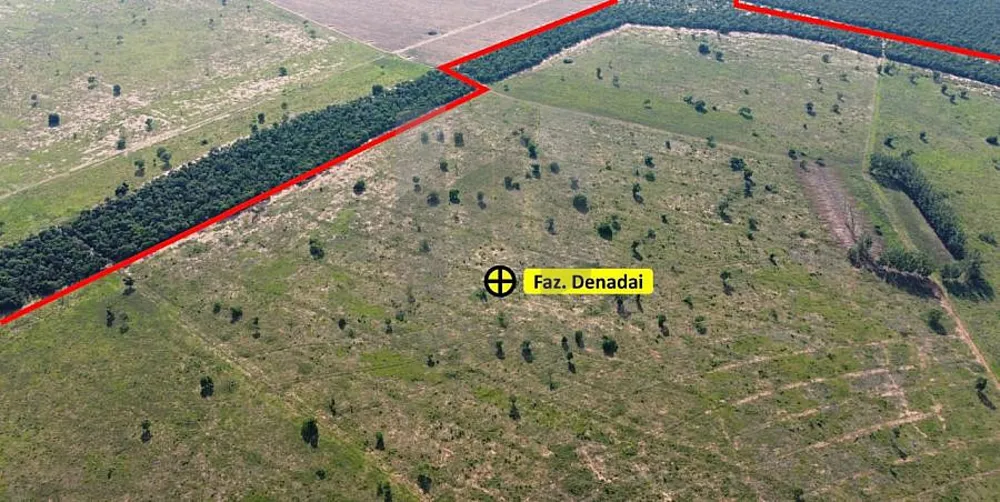 Fazenda, 308 hectares - Foto 7