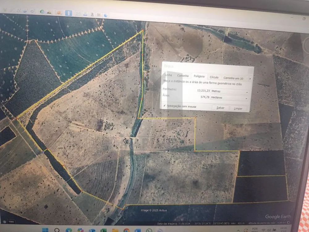 Fazenda, 308 hectares - Foto 10