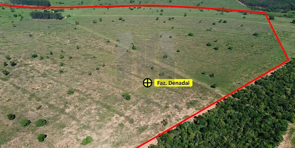 Fazenda, 308 hectares - Foto 6