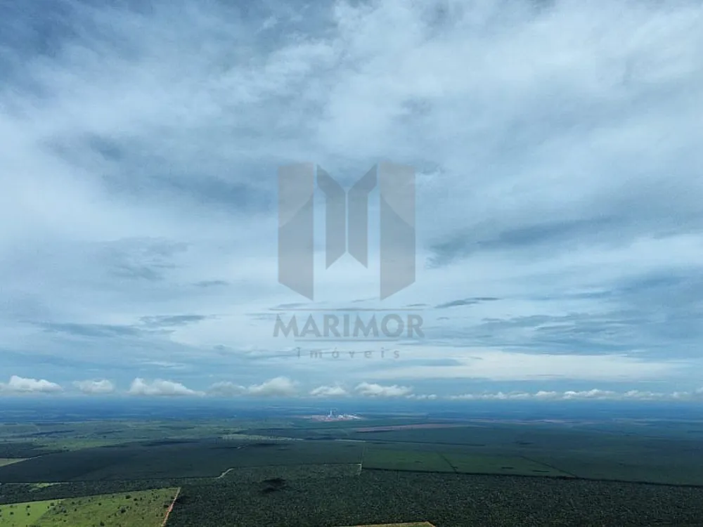 Fazenda, 308 hectares - Foto 3