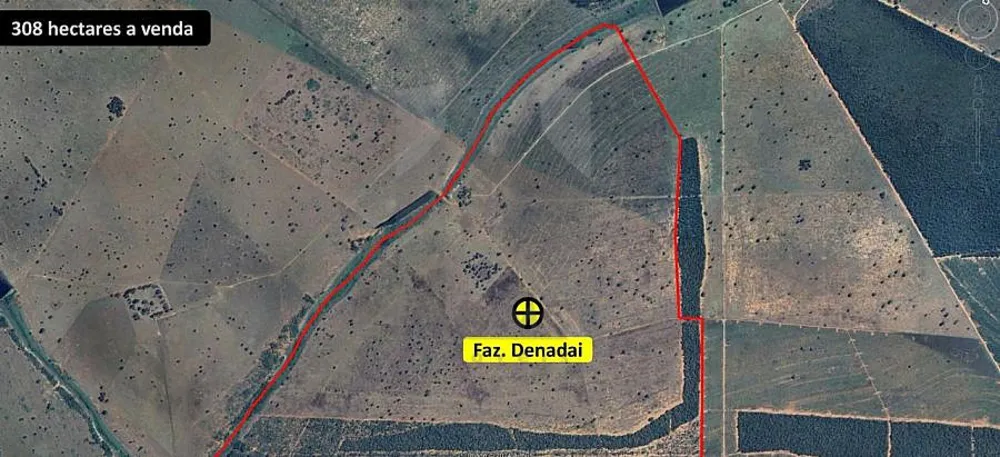 Fazenda, 308 hectares - Foto 11