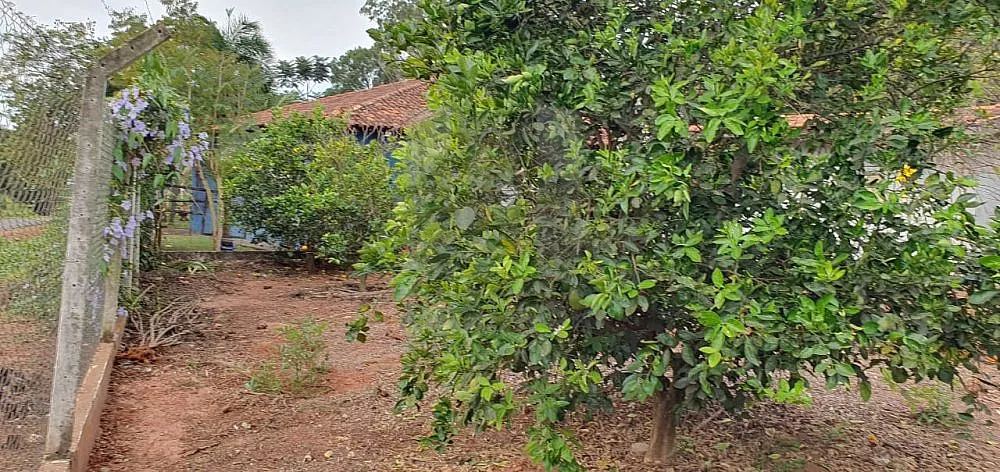 Chácara, 3 quartos, 3000 m² - Foto 7