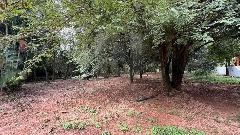 Casa, 4 quartos, 7000 m² - Foto 10