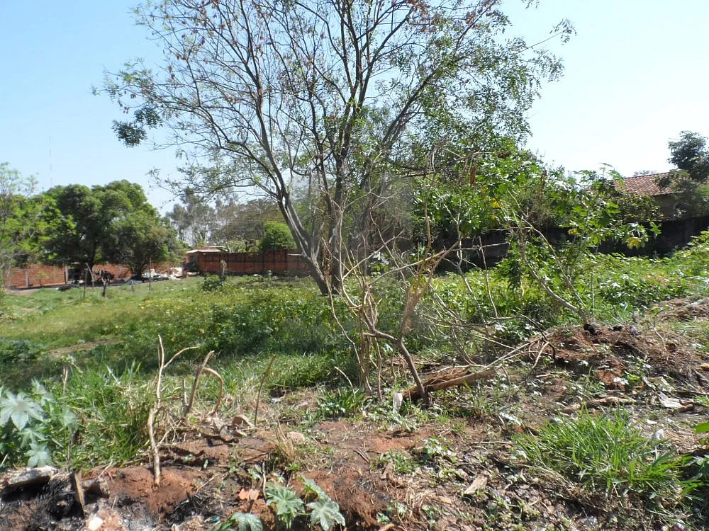 Terreno, 164 m² - Foto 3