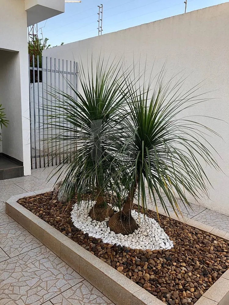 Casa, 4 quartos, 460 m² - Foto 3