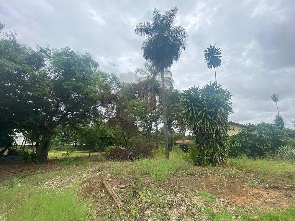 Terreno, 2 hectares - Foto 2