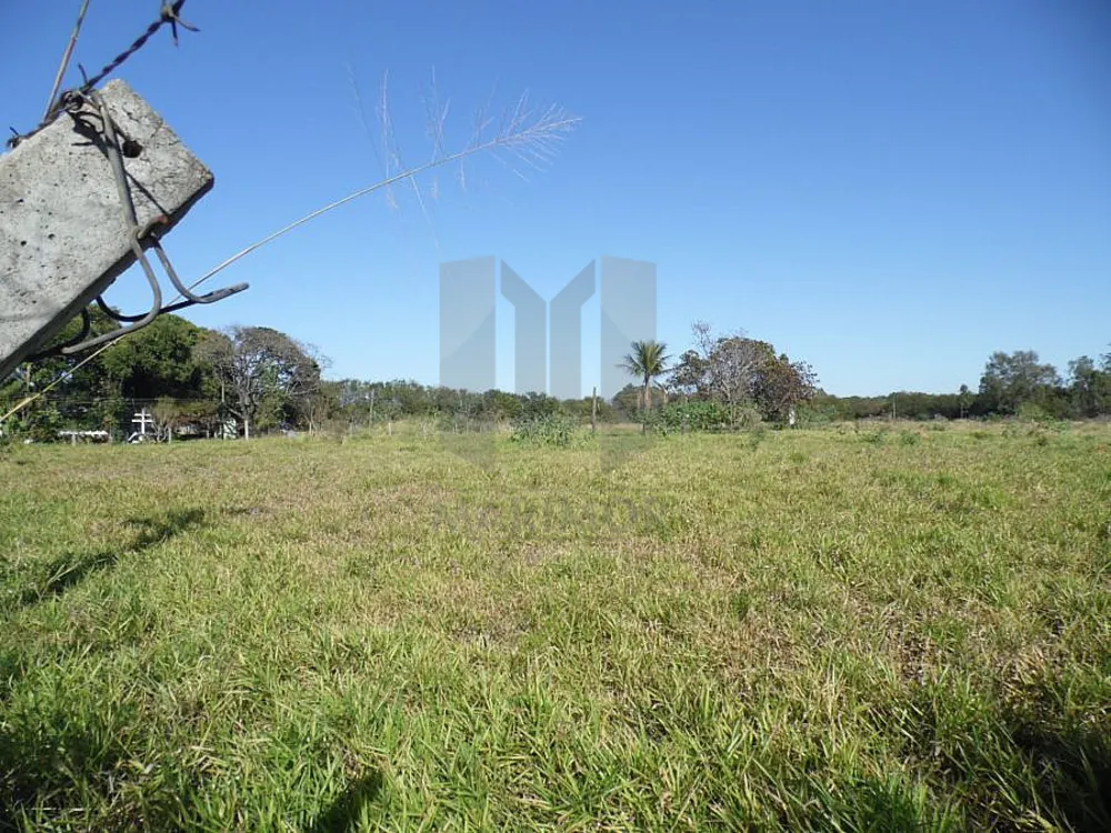 Terreno, 4 hectares - Foto 7