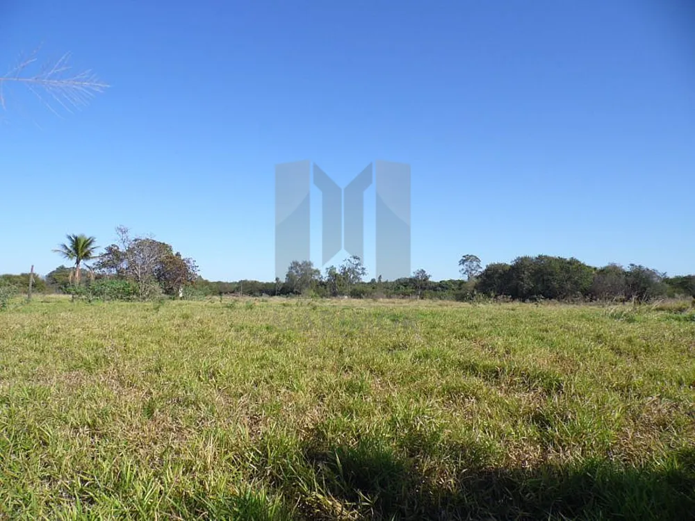Terreno, 4 hectares - Foto 8