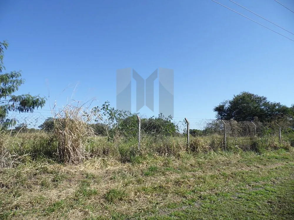 Terreno, 4 hectares - Foto 6