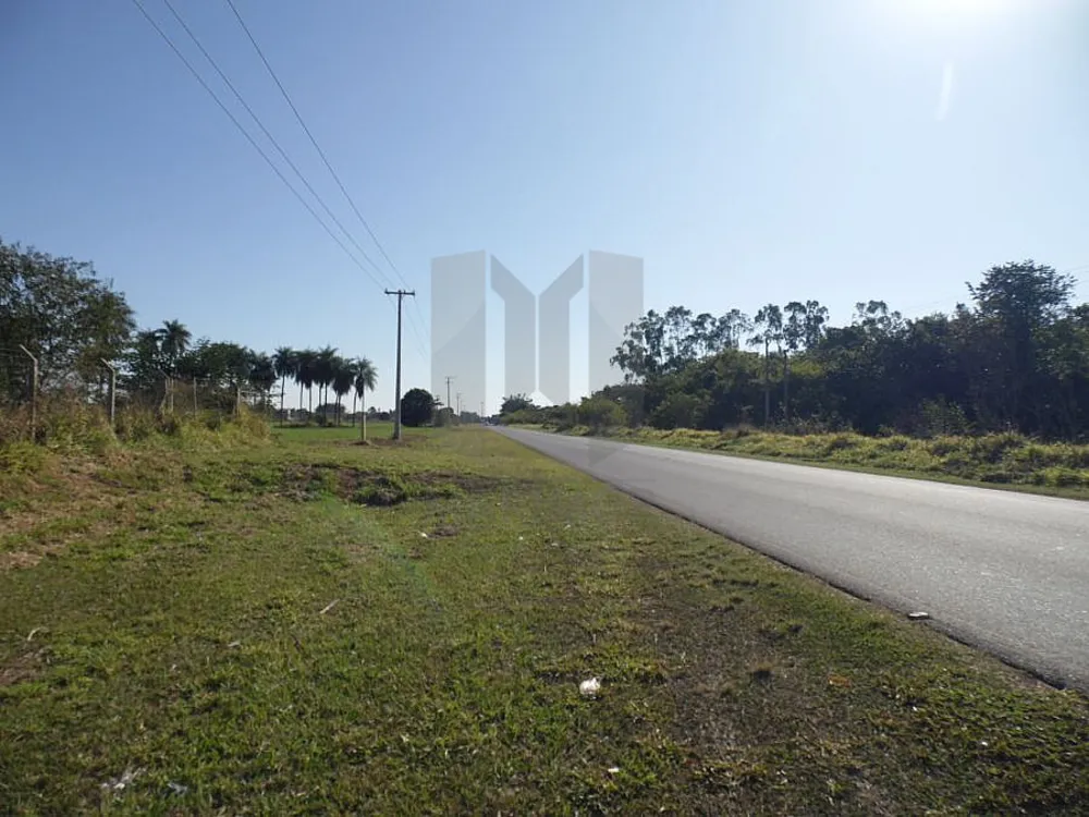 Terreno, 4 hectares - Foto 2
