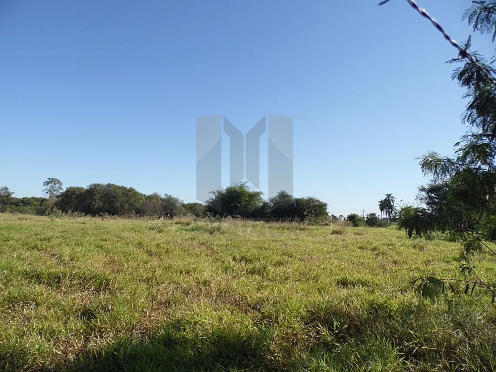 Terreno, 4 hectares - Foto 4
