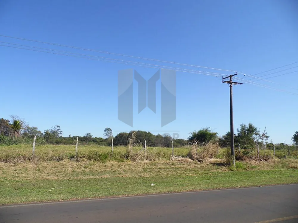 Terreno, 4 hectares - Foto 1