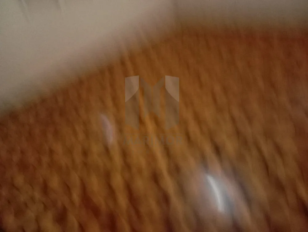 Casa, 3 quartos, 266 m² - Foto 12