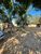 Fazenda, 900 m² - Foto 3