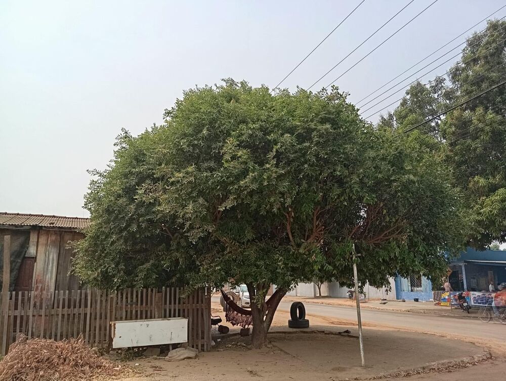 Terreno à venda - Foto 1