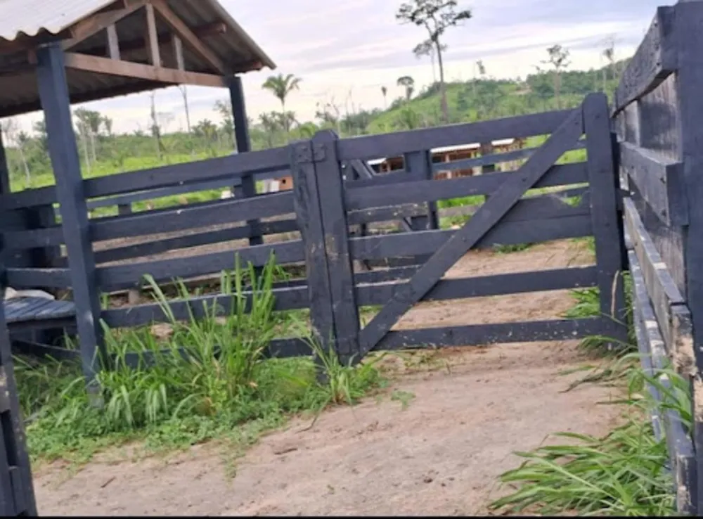 Fazenda - Foto 3